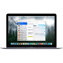 Ноутбук Apple MacBook 12 12" 2304x1440 Intel Core M3-6Y30 MLH72RU/A